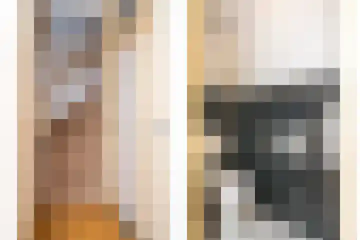 Vossehol 27 Cuijk thumbnail 14