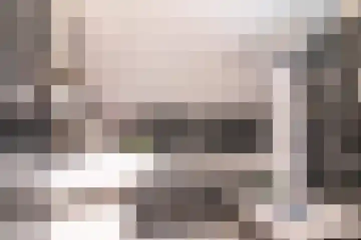 Vossehol 27 Cuijk thumbnail 23