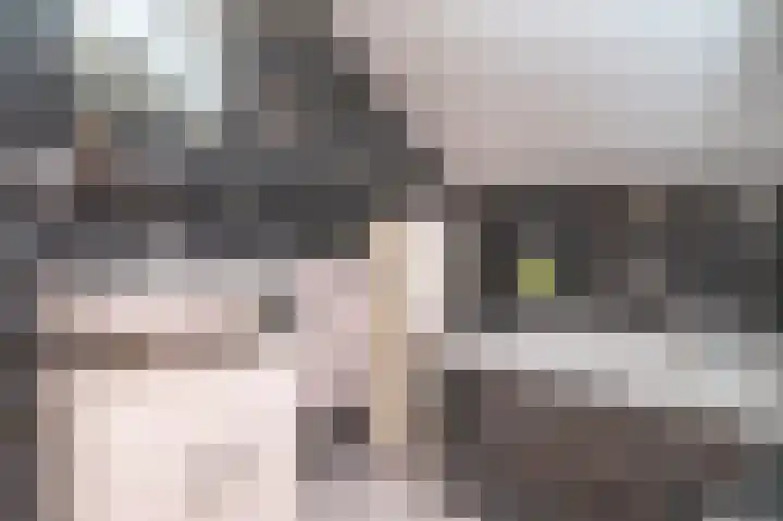 Vossehol 27 Cuijk thumbnail 24