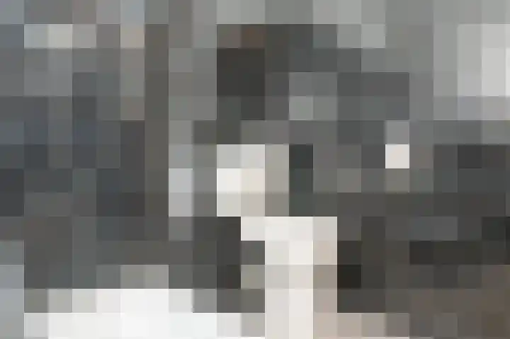 Vossehol 27 Cuijk thumbnail 25