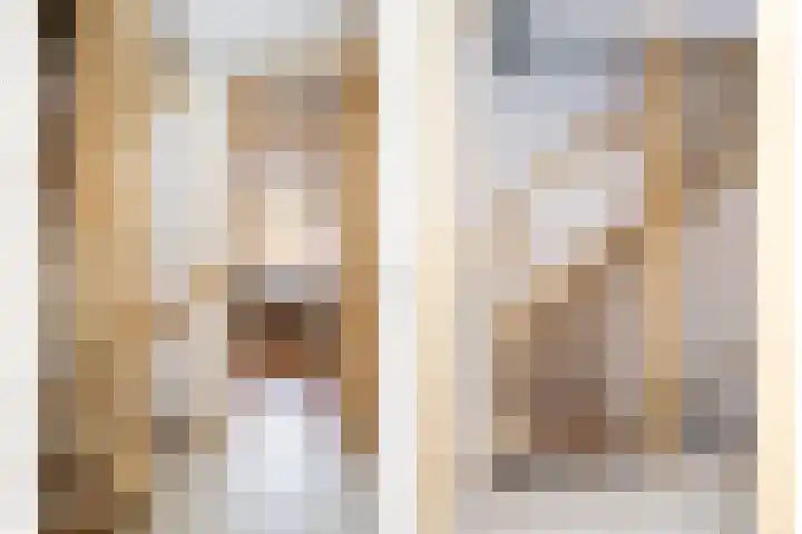Vossehol 27 Cuijk thumbnail 26