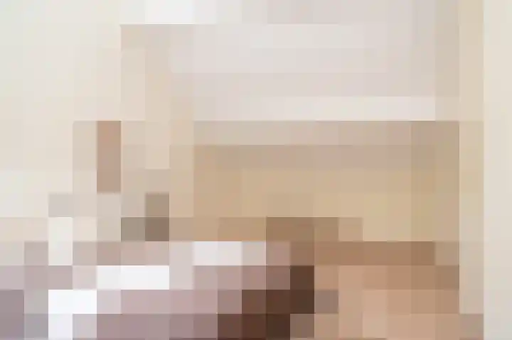 Vossehol 27 Cuijk thumbnail 29