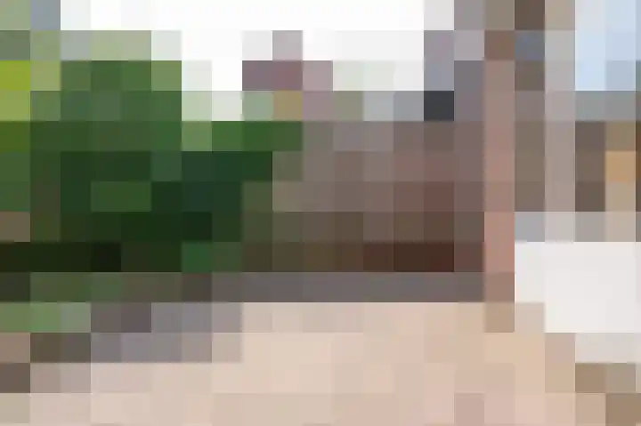 Vossehol 27 Cuijk thumbnail 30