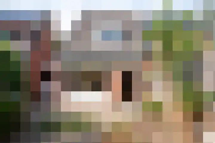 Vossehol 27 Cuijk thumbnail 34