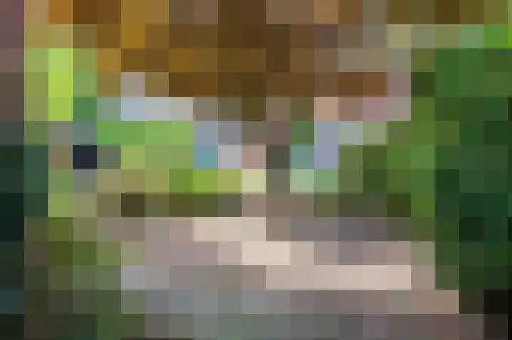 Vossehol 27 Cuijk thumbnail 36