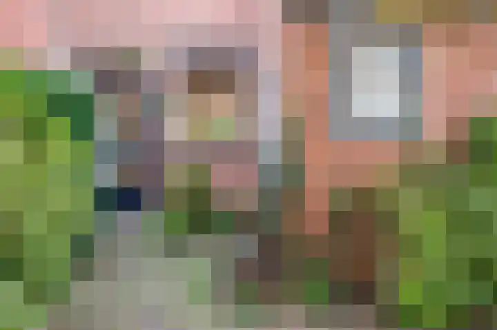 Vossehol 27 Cuijk thumbnail 37