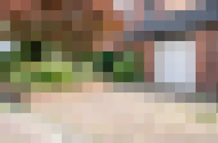 Vossehol 27 Cuijk thumbnail 38