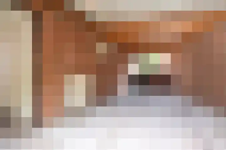 Vossehol 27 Cuijk thumbnail 39