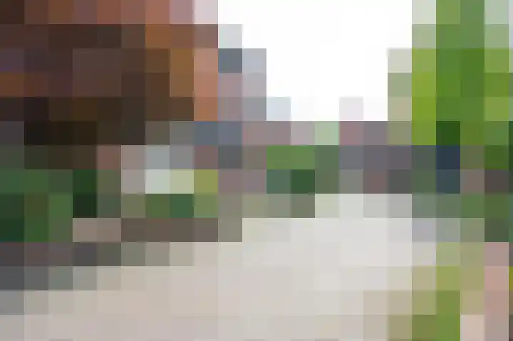 Vossehol 27 Cuijk thumbnail 40