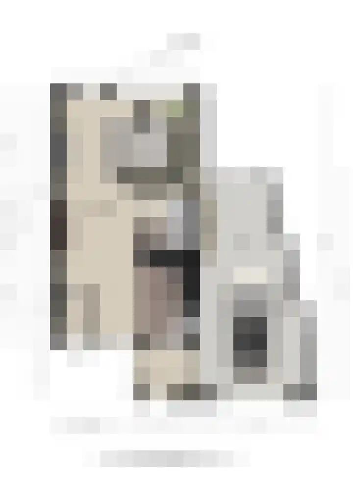 Vossehol 27 Cuijk thumbnail 42