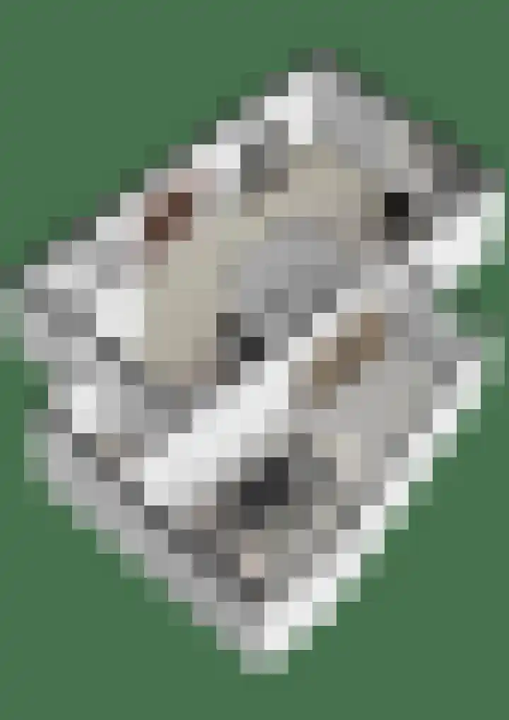 Vossehol 27 Cuijk thumbnail 43