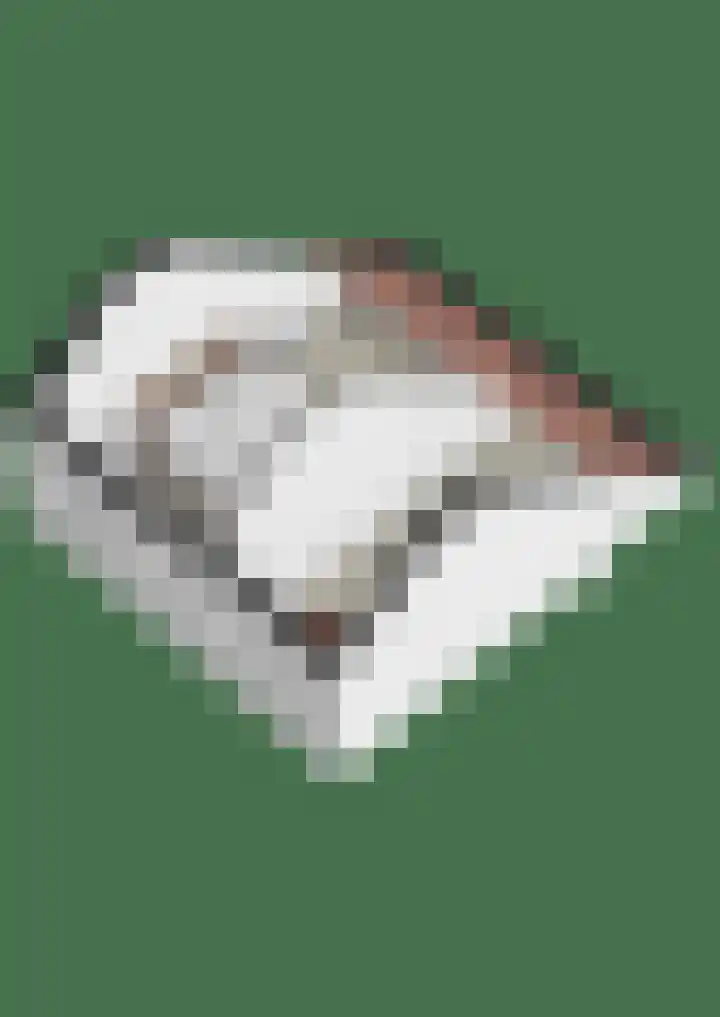 Vossehol 27 Cuijk thumbnail 47