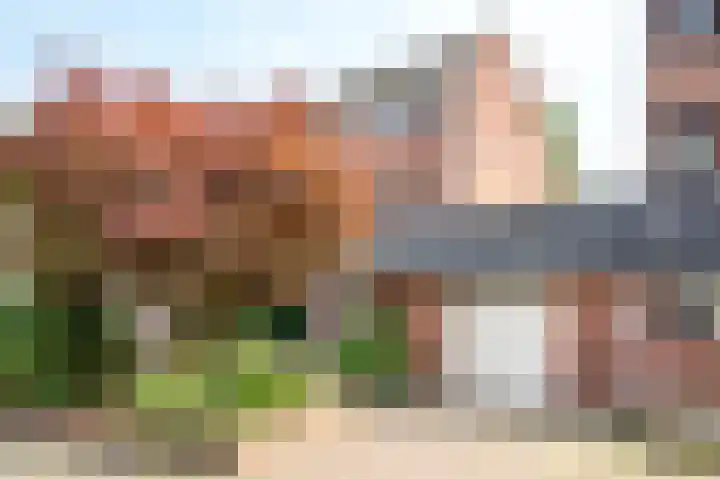 Vossehol 27 Cuijk thumbnail 48