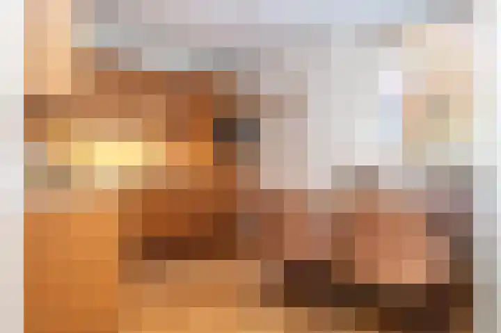 Vossehol 27 Cuijk thumbnail 8