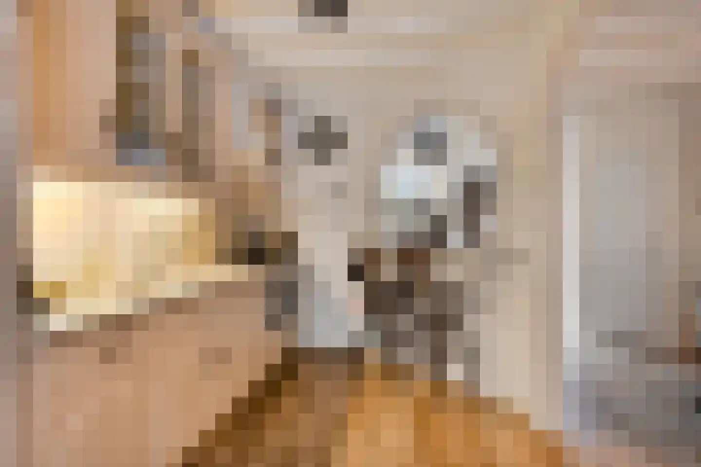 Vossehol 55 Oss thumbnail 10