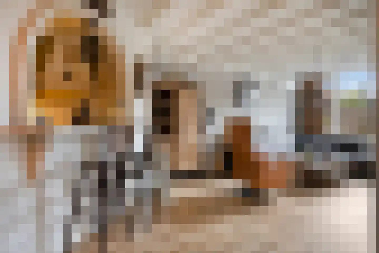 Vossehol 55 Oss thumbnail 13