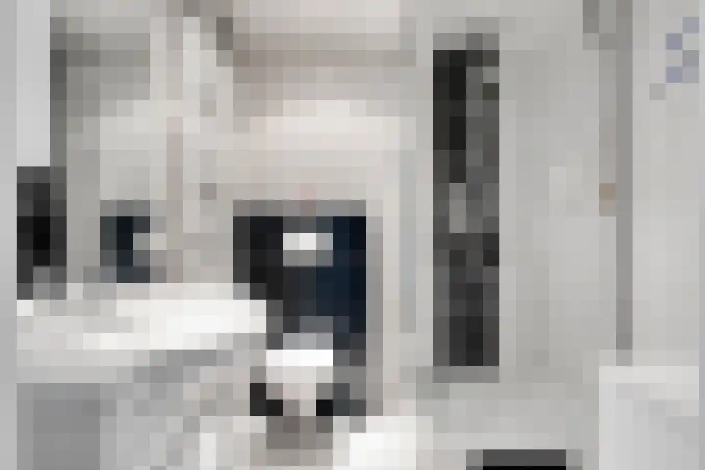 Vossehol 55 Oss thumbnail 20
