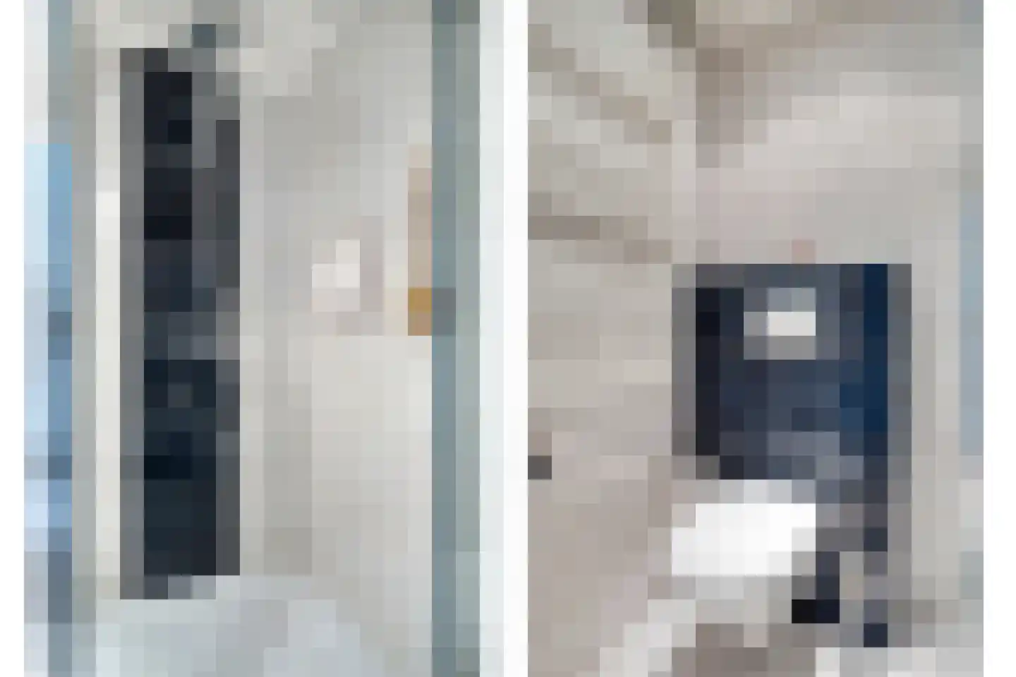 Vossehol 55 Oss thumbnail 21
