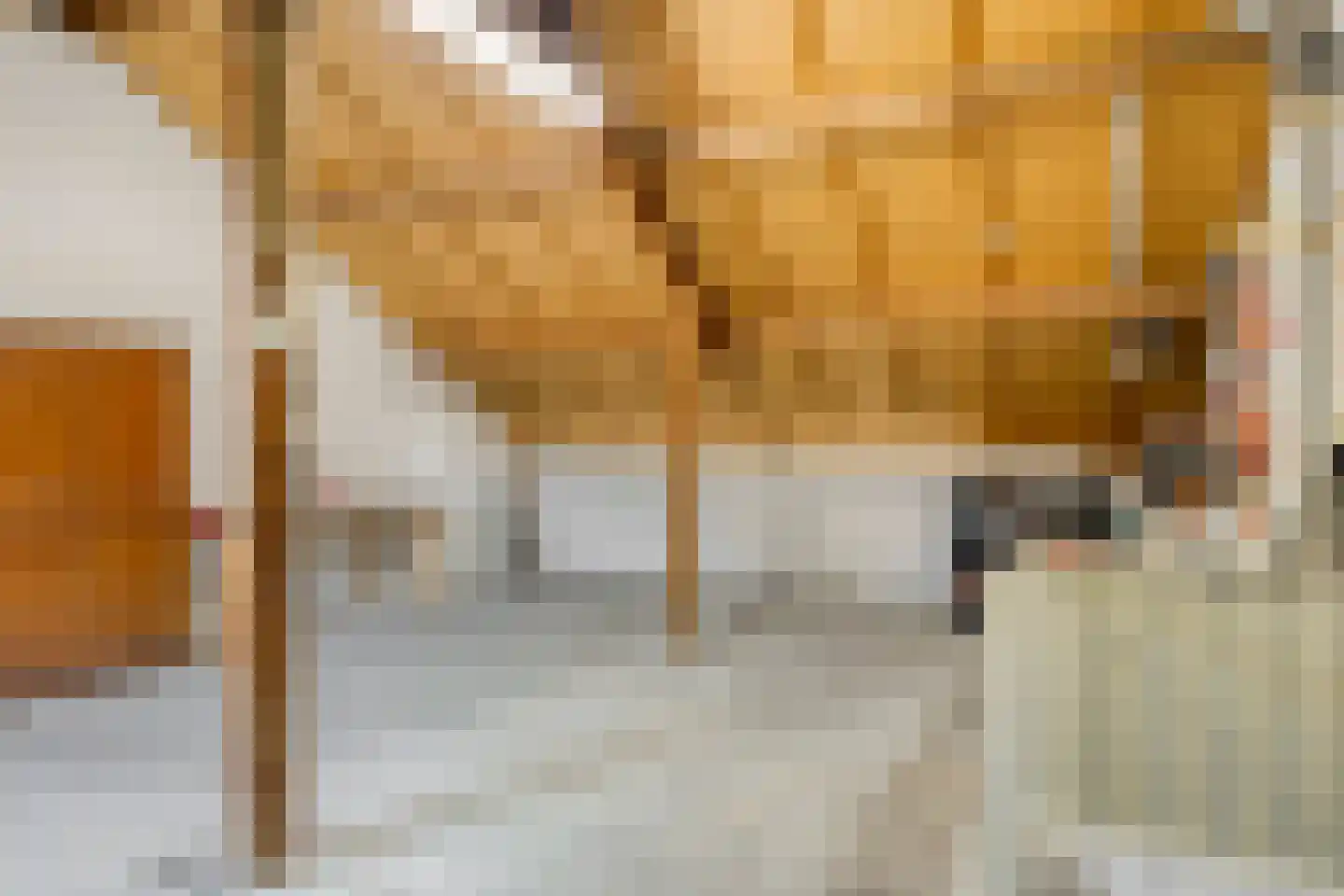 Vossehol 55 Oss thumbnail 27