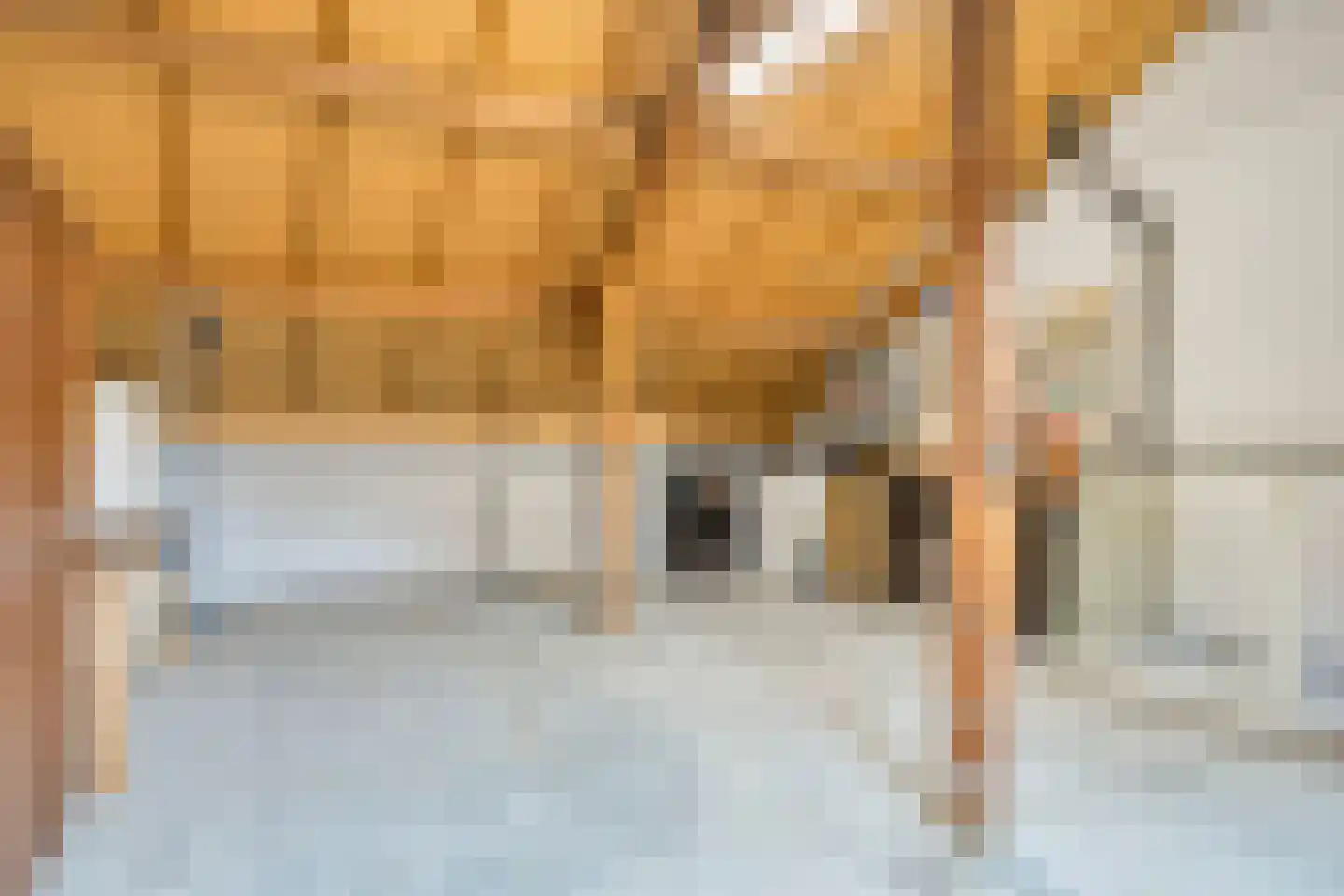 Vossehol 55 Oss thumbnail 28
