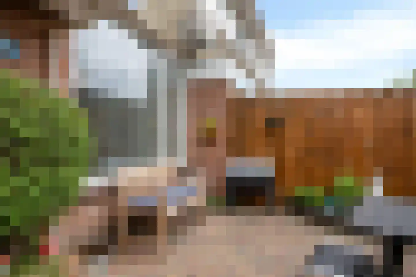 Vossehol 55 Oss thumbnail 31
