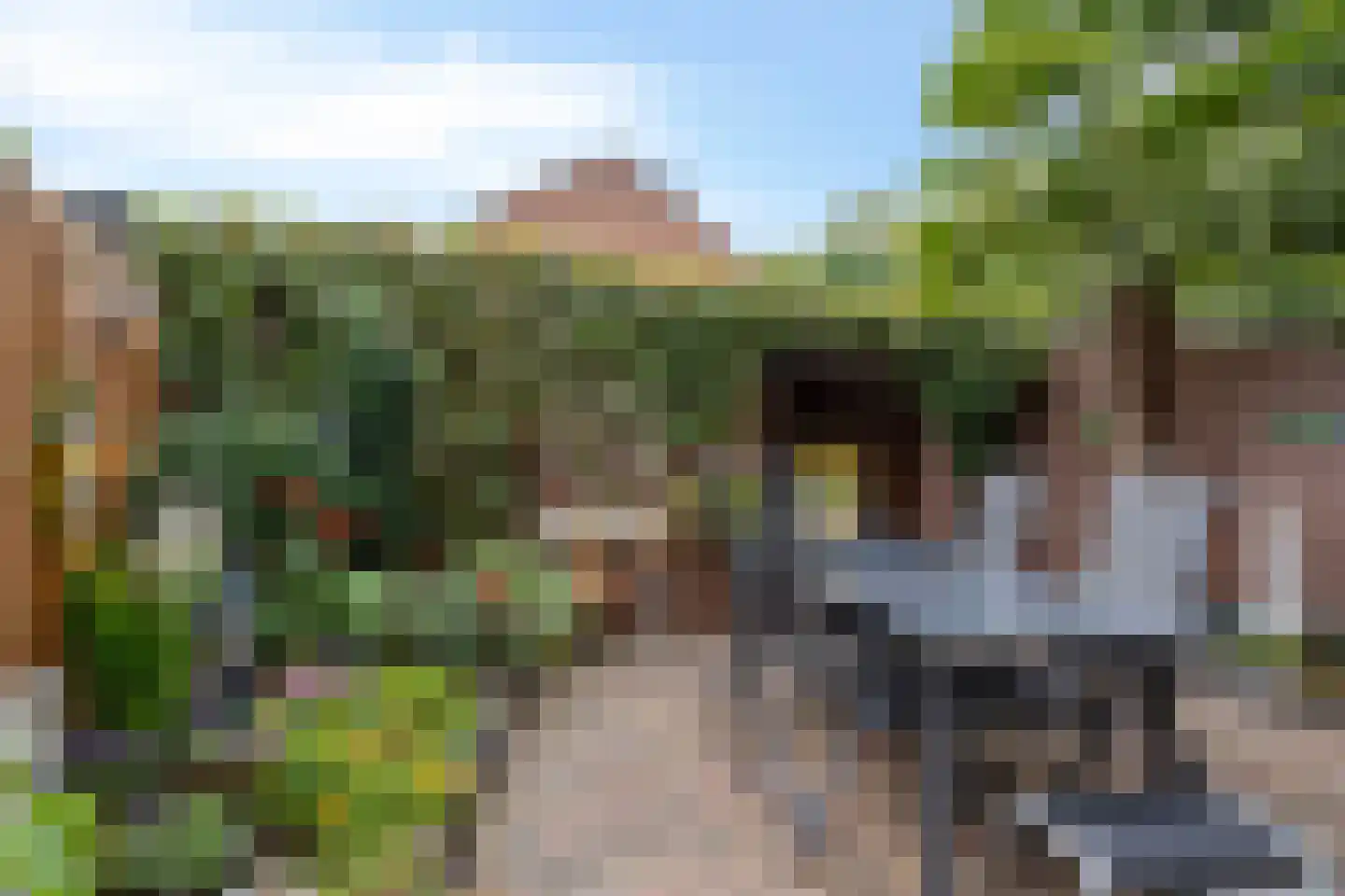Vossehol 55 Oss thumbnail 32