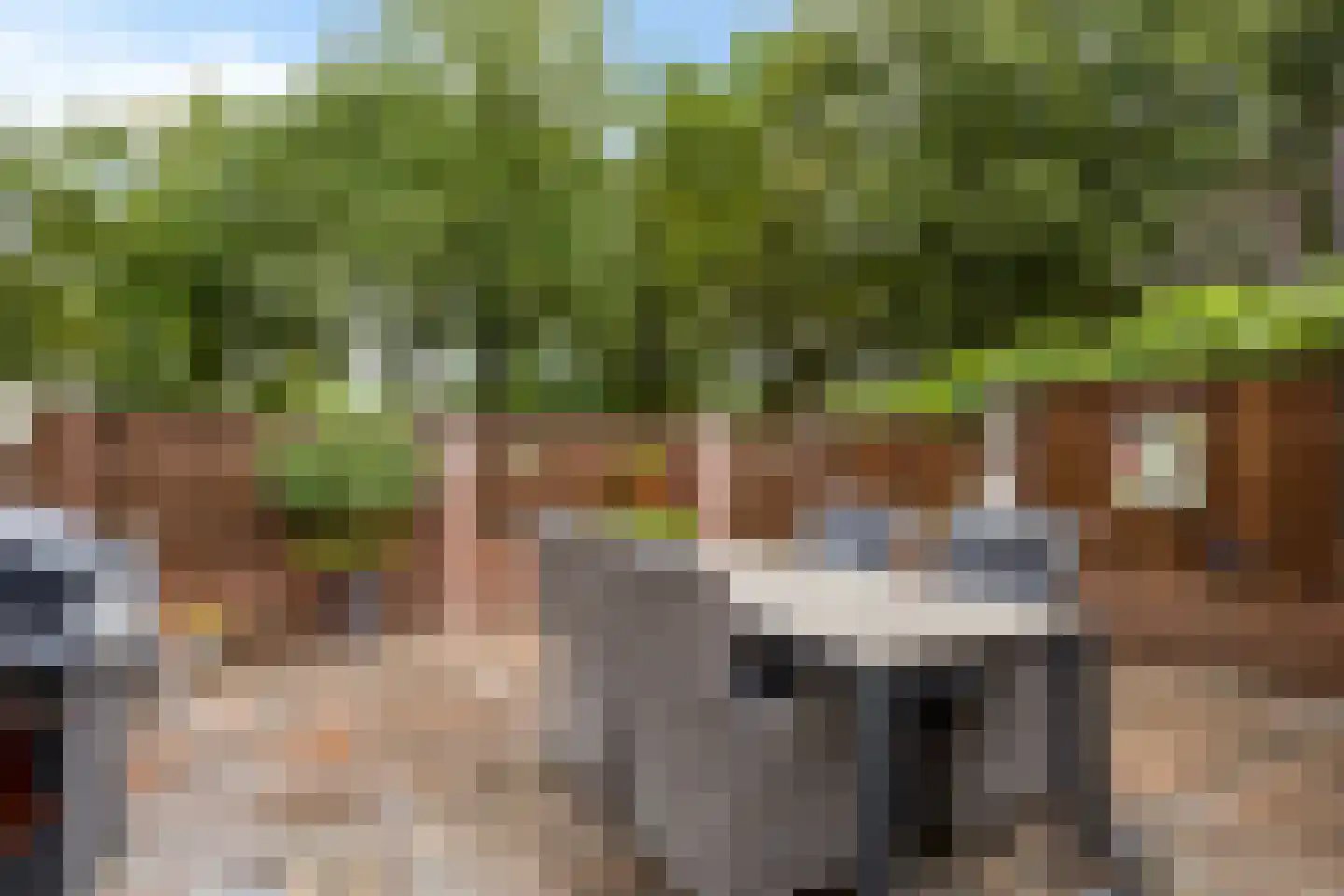 Vossehol 55 Oss thumbnail 39