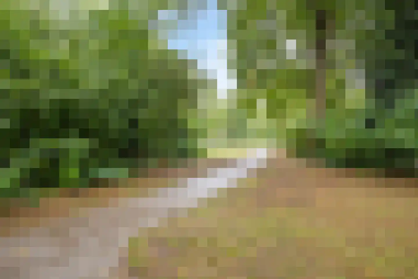 Vossehol 55 Oss thumbnail 43