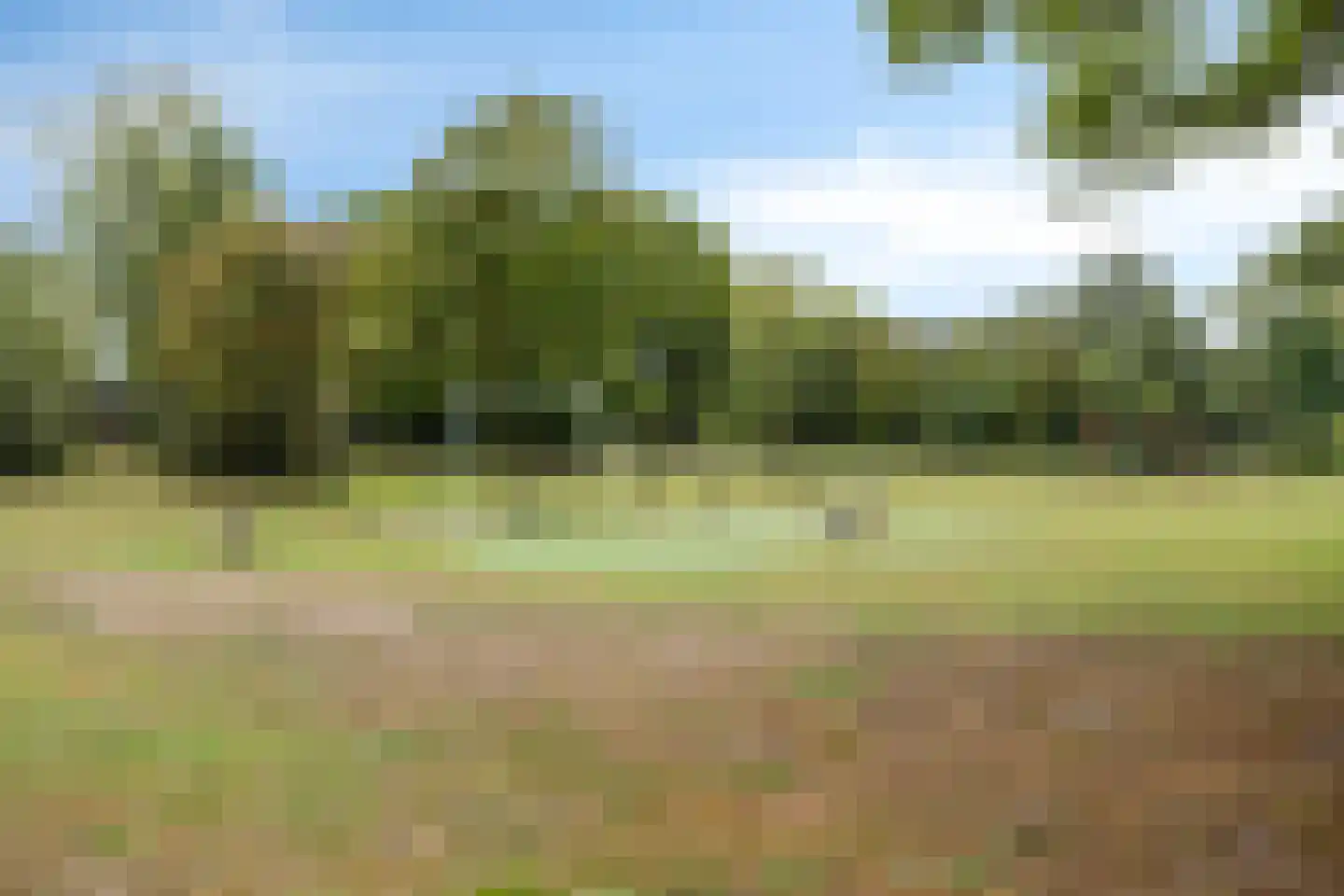 Vossehol 55 Oss thumbnail 44