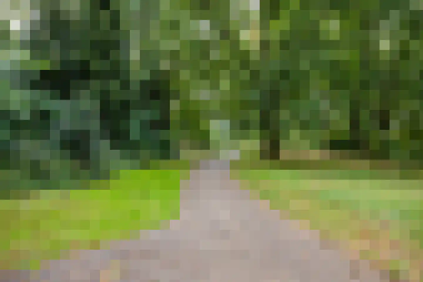 Vossehol 55 Oss thumbnail 46