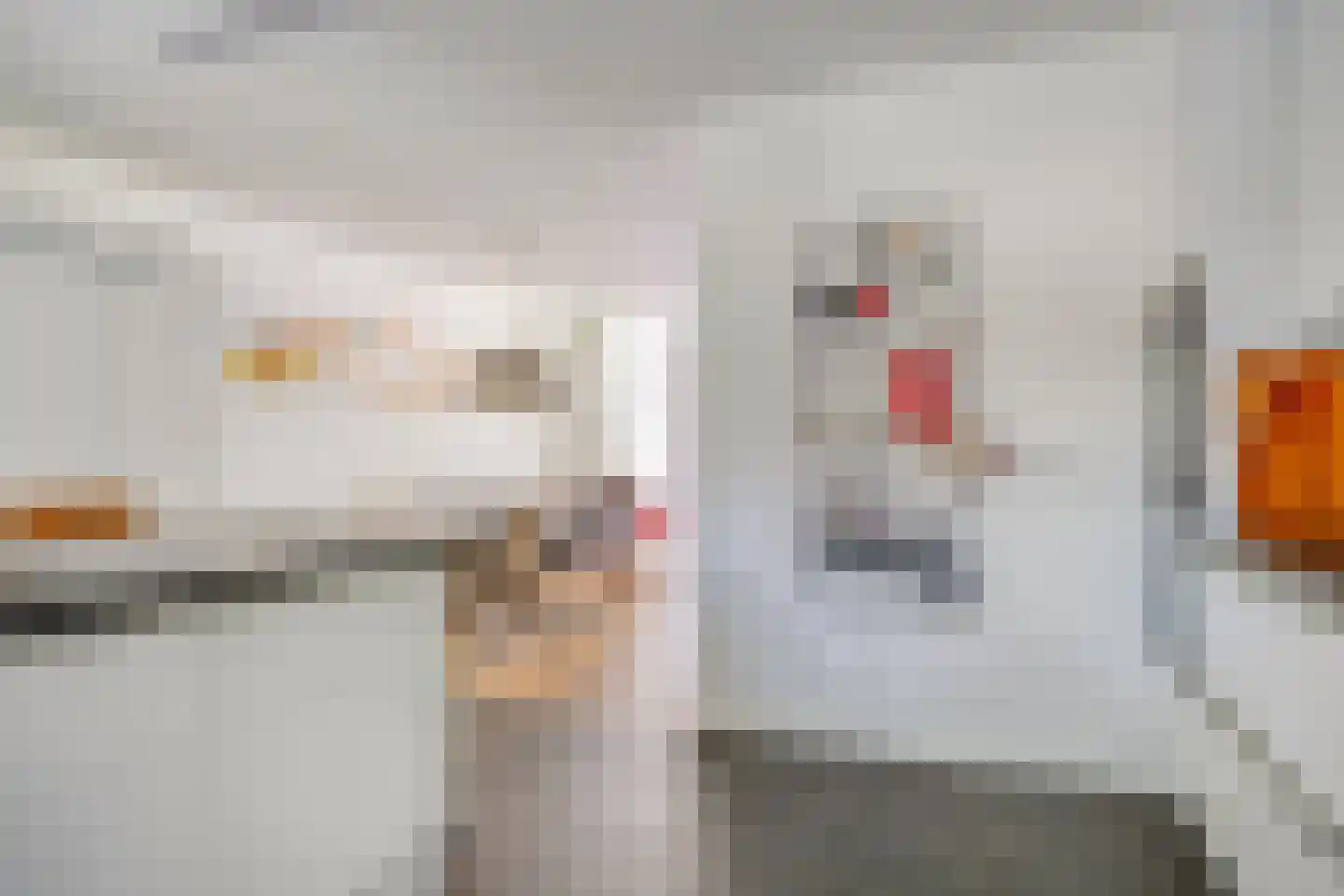 Vossehol 61 Cuijk thumbnail 15