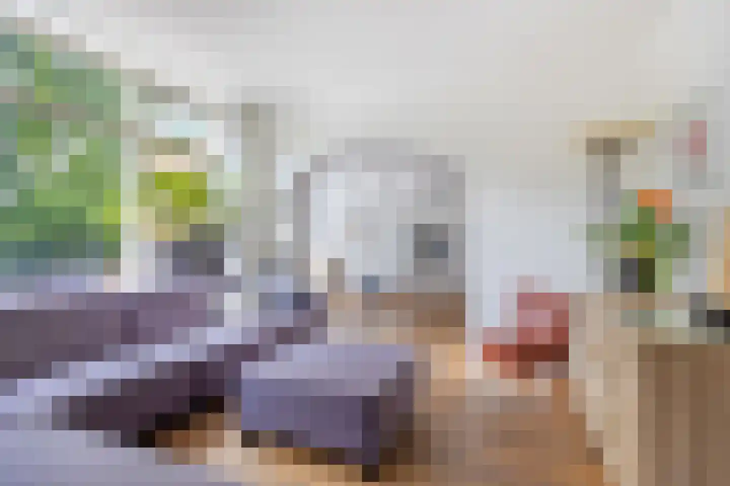 Vossehol 61 Cuijk thumbnail 18
