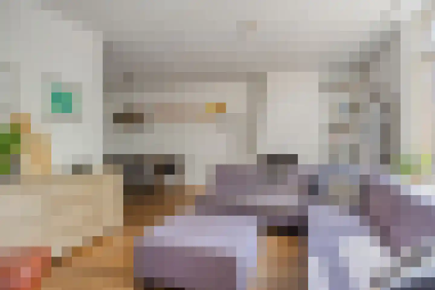 Vossehol 61 Cuijk thumbnail 19