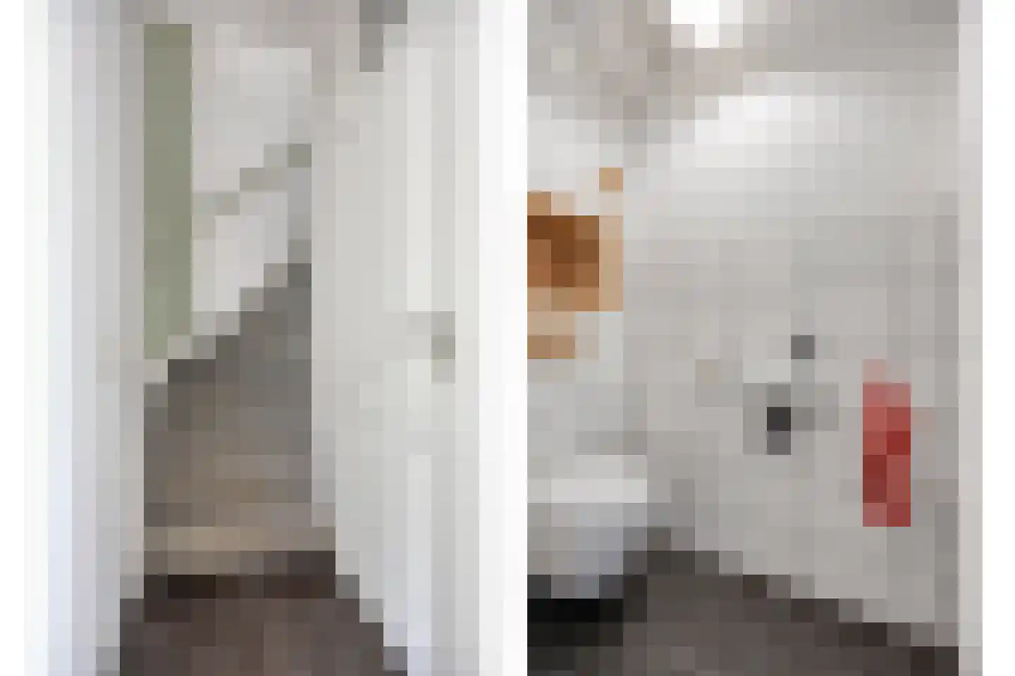 Vossehol 61 Cuijk thumbnail 24
