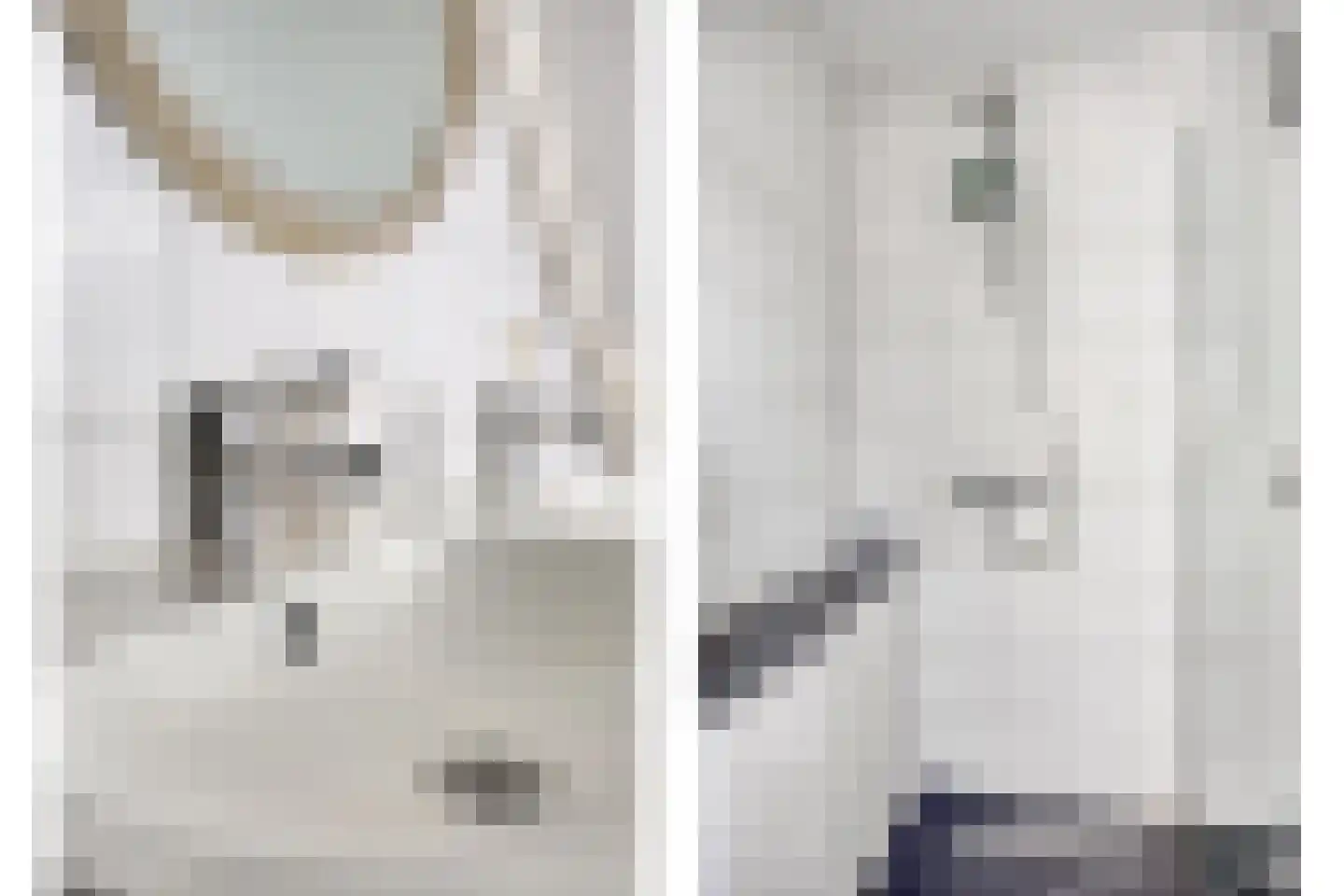 Vossehol 61 Cuijk thumbnail 26