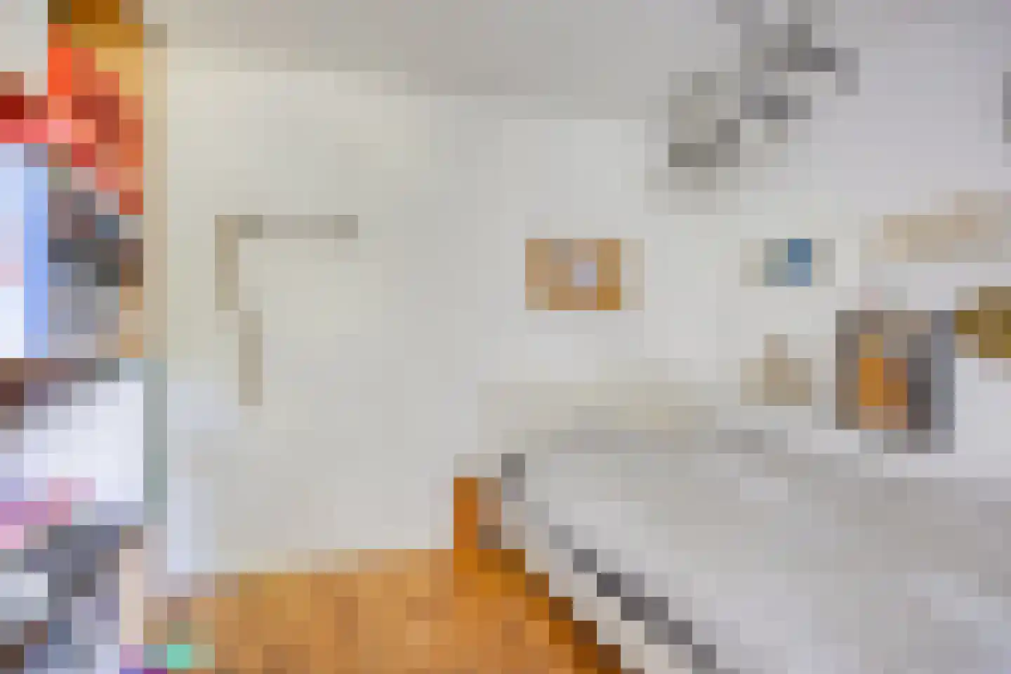 Vossehol 61 Cuijk thumbnail 30