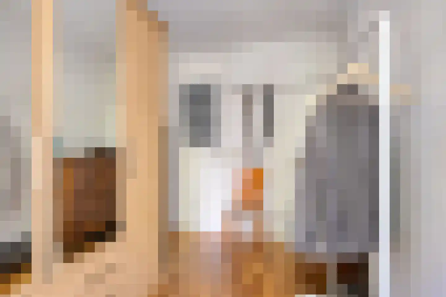 Vossehol 61 Cuijk thumbnail 32