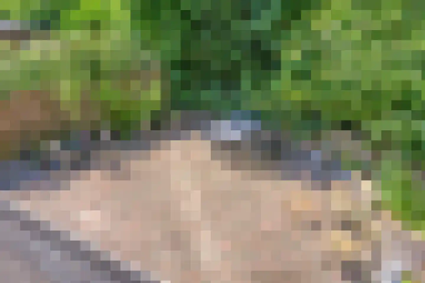 Vossehol 61 Cuijk thumbnail 37