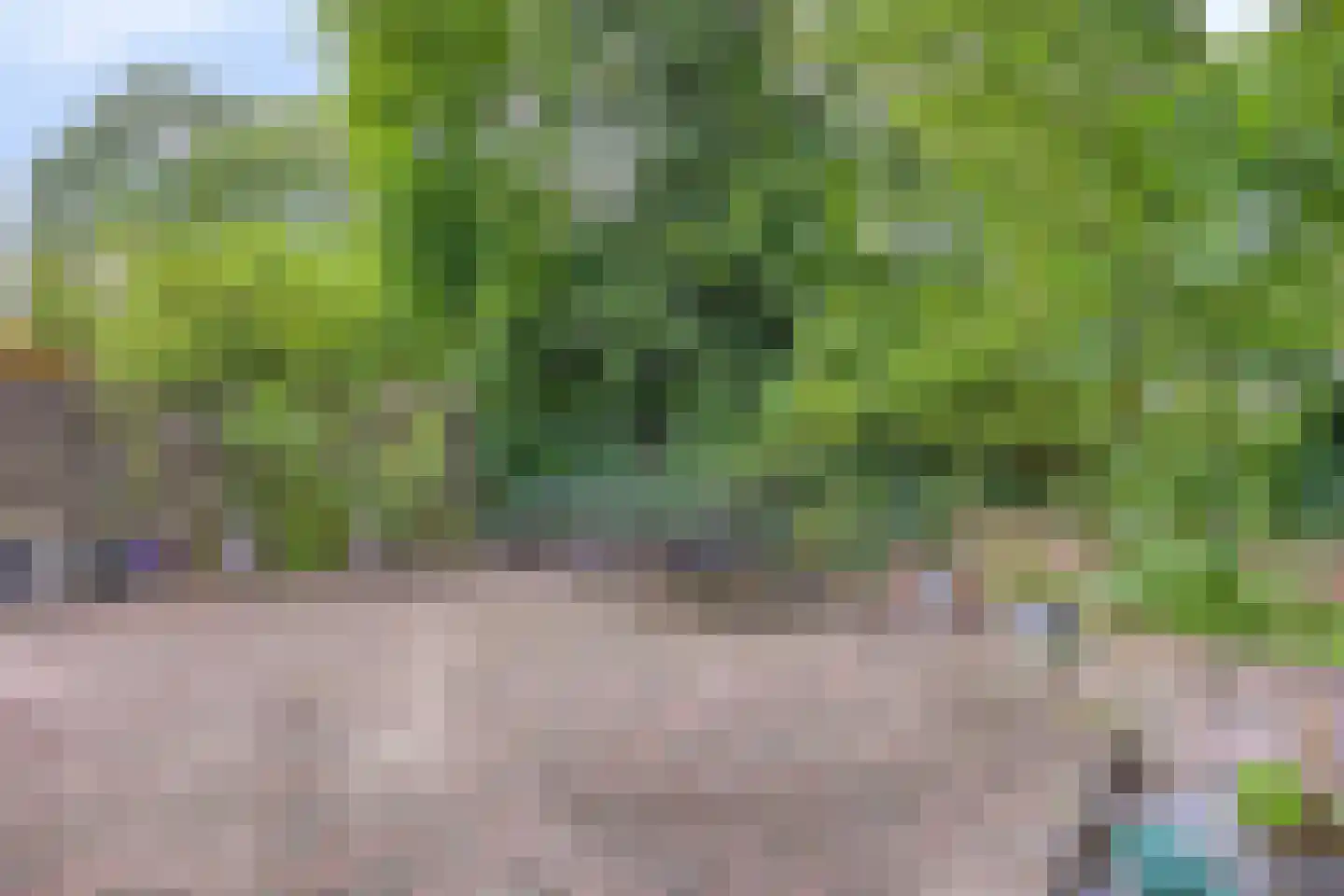 Vossehol 61 Cuijk thumbnail 38