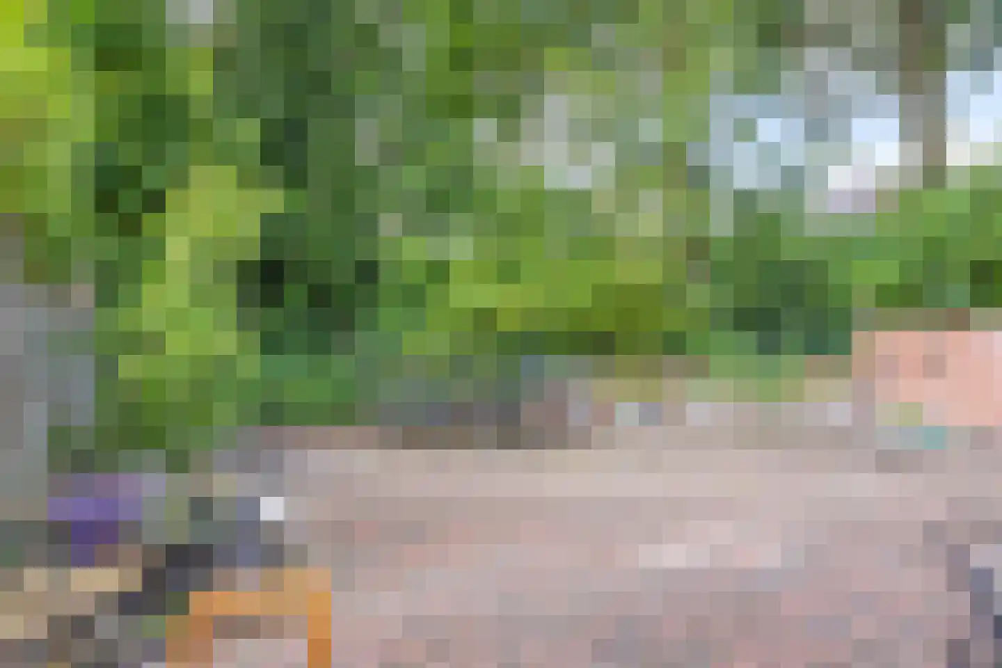 Vossehol 61 Cuijk thumbnail 39