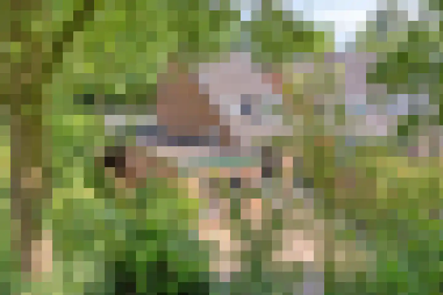 Vossehol 61 Cuijk thumbnail 4