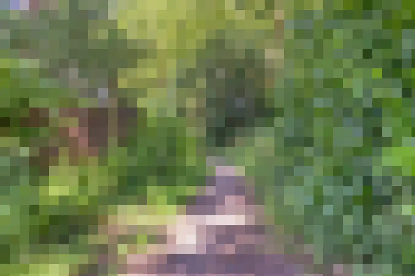 Vossehol 61 Cuijk thumbnail 43