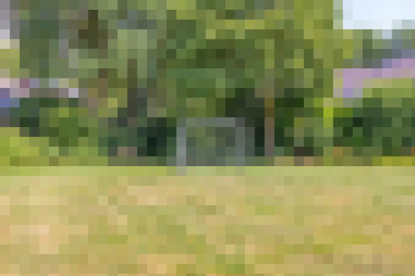 Vossehol 61 Cuijk thumbnail 44