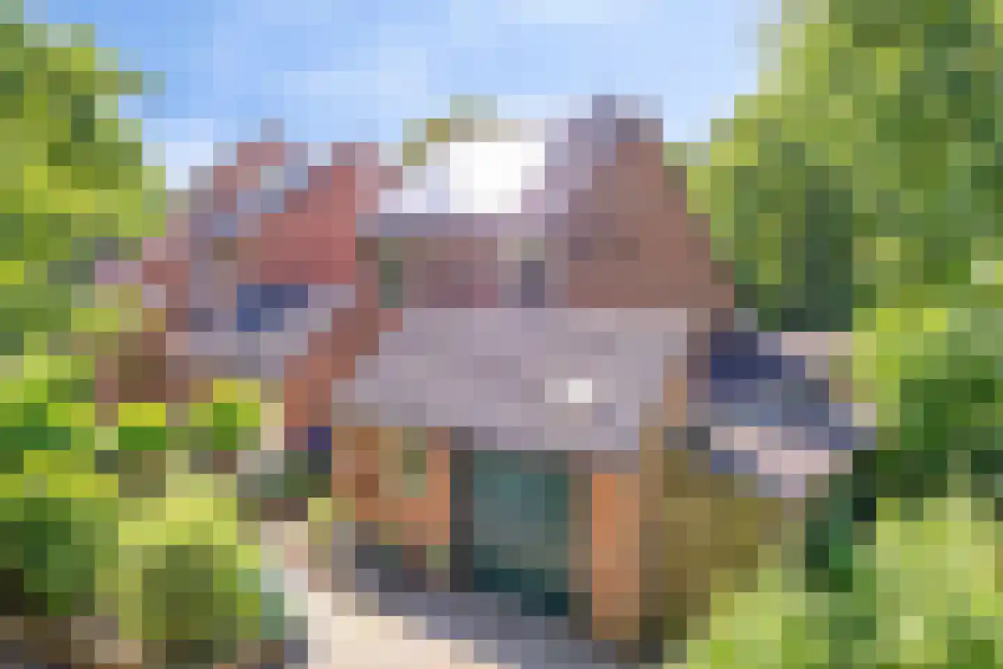 Vossehol 61 Cuijk thumbnail 8