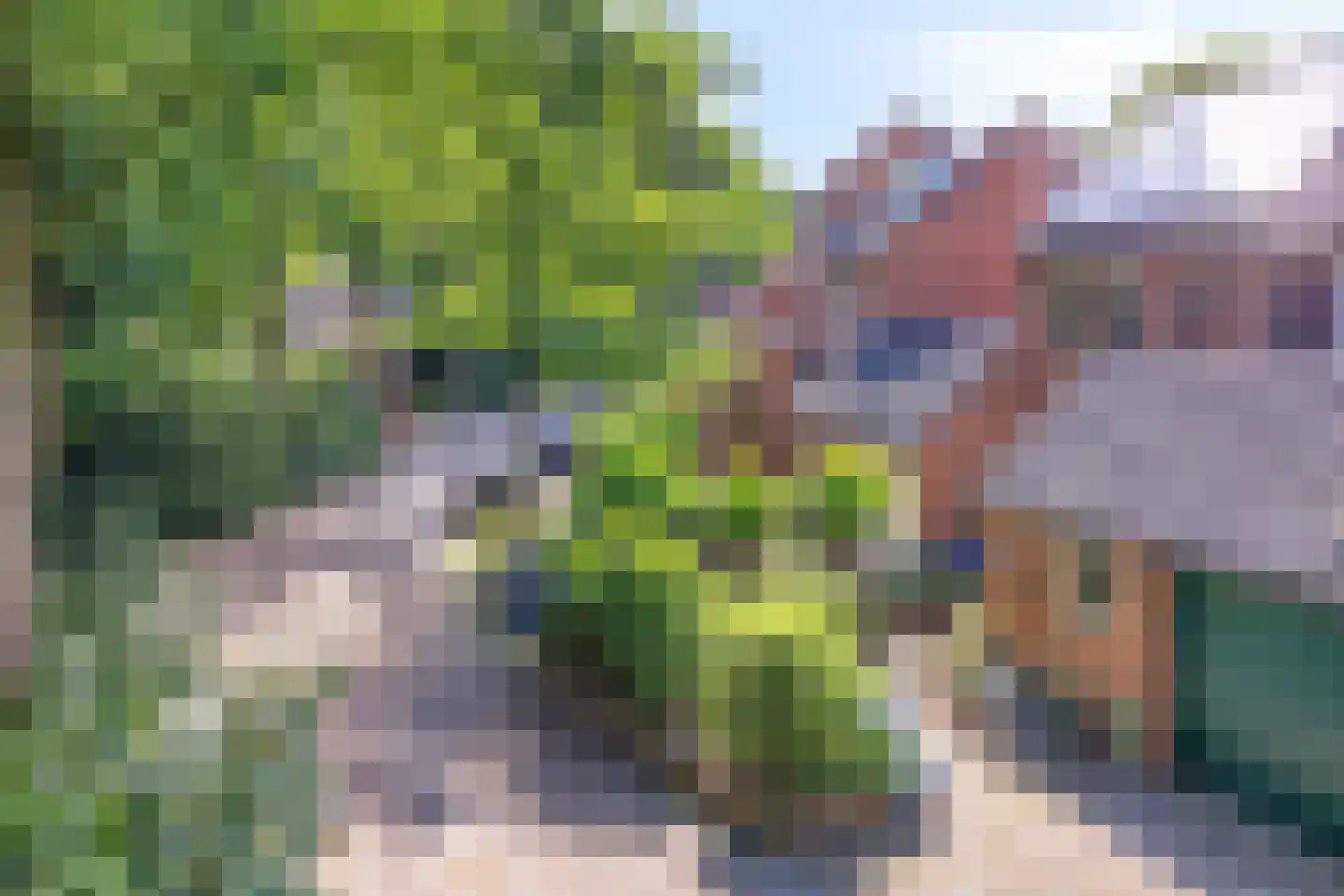 Vossehol 61 Cuijk thumbnail 9