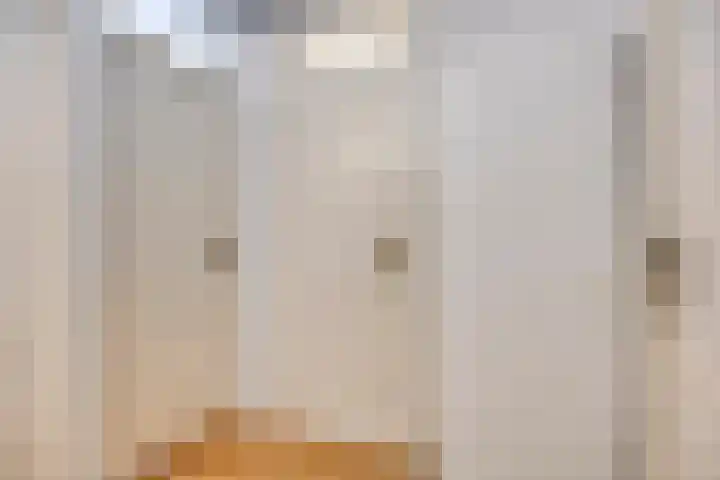 Vossehol 7 Oss thumbnail 21