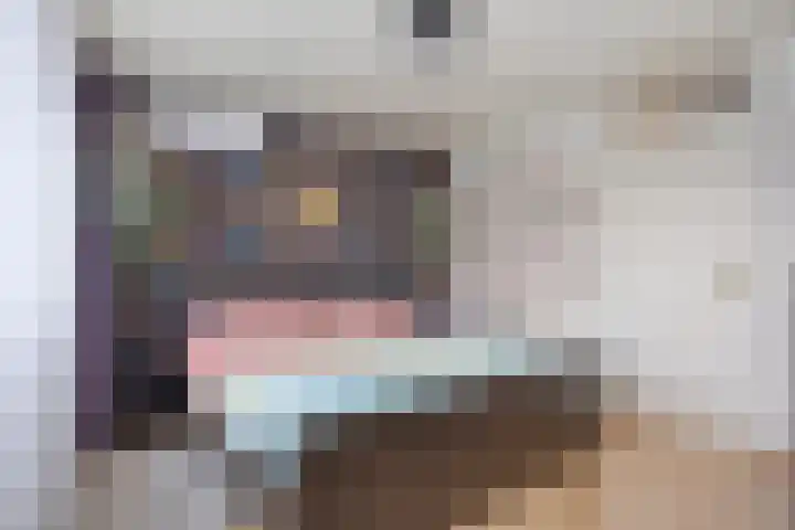 Vossehol 7 Oss thumbnail 22