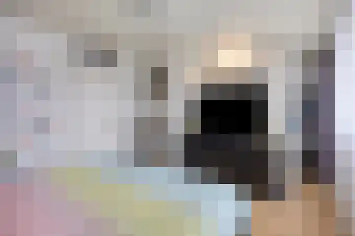 Vossehol 7 Oss thumbnail 23