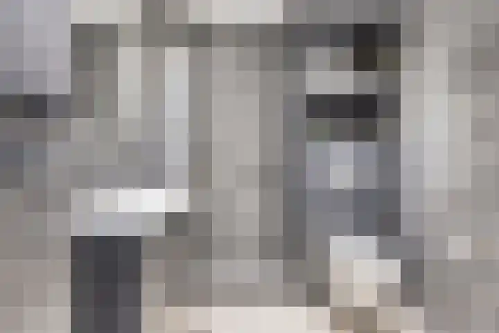 Vossehol 7 Oss thumbnail 25
