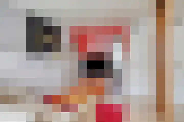 Vossehol 7 Oss thumbnail 30